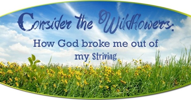 consider the wildflowers1